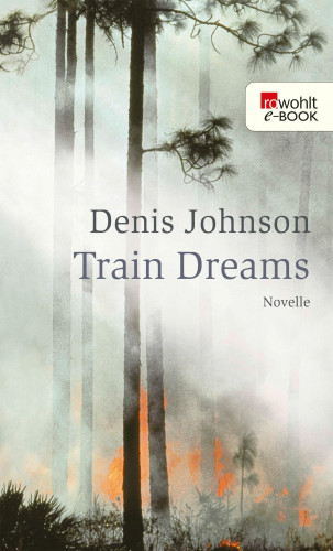 Denis Johnson: Train Dreams