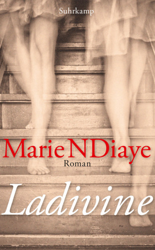 Marie NDiaye: Ladivine