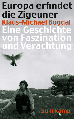Klaus-Michael Bogdal: Europa erfindet die Zigeuner