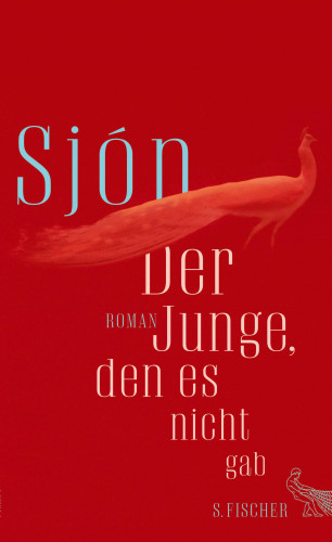 Sjón: Der Junge, den es nicht gab