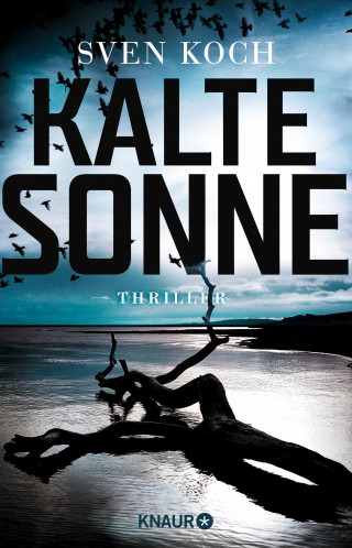 Sven Koch: Kalte Sonne