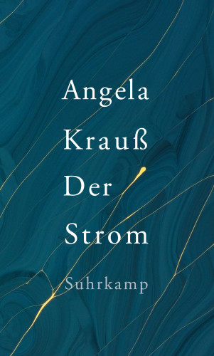 Angela Krauß: Der Strom