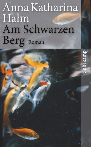 Anna Katharina Hahn: Am Schwarzen Berg