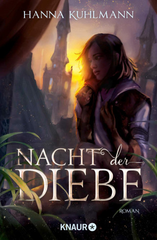 Hanna Kuhlmann: Nacht der Diebe