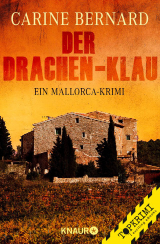 Carine Bernard: Der Drachen-Klau