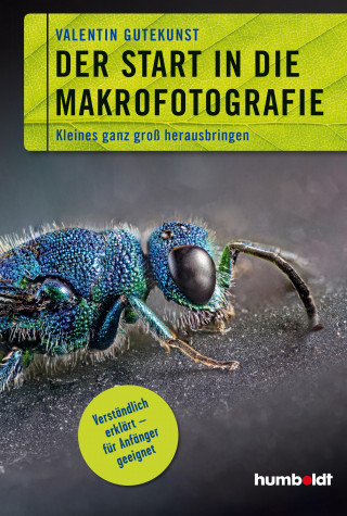 Valentin Gutekunst: Der Start in die Makrofotografie