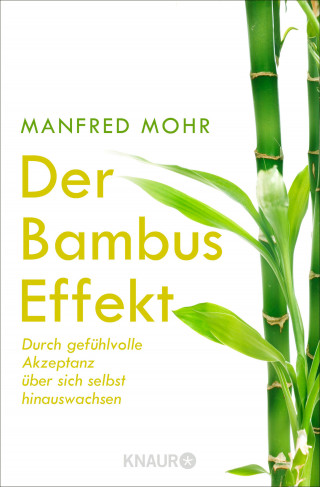 Manfred Mohr: Der Bambus-Effekt