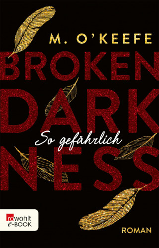 M. O'Keefe: Broken Darkness: So gefährlich