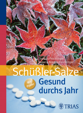 Thomas Feichtinger, Susana Niedan-Feichtinger: Gesund durchs Jahr mit Schüßler-Salzen