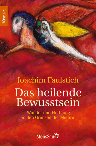 Joachim Faulstich: Das heilende Bewusstsein