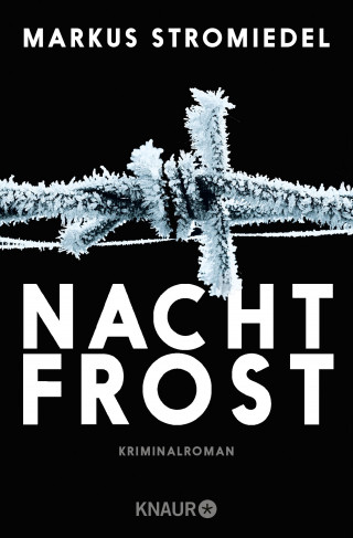 Markus Stromiedel: Nachtfrost