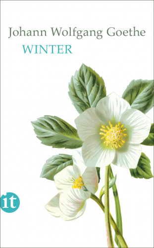 Johann Wolfgang Goethe: Winter