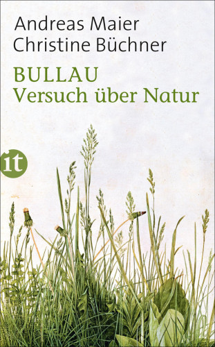 Andreas Maier, Christine Büchner: Bullau