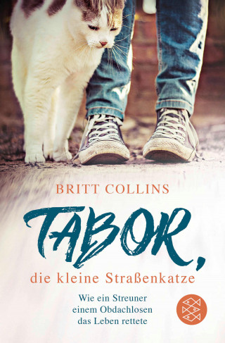Britt Collins: Tabor, die kleine Straßenkatze