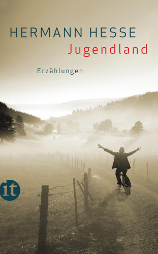 Hermann Hesse: Jugendland