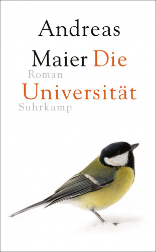 Andreas Maier: Die Universität