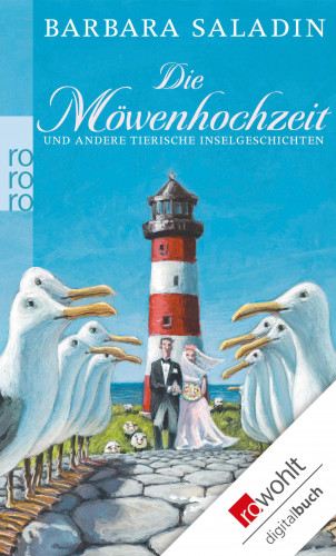 Barbara Saladin: Die Möwenhochzeit