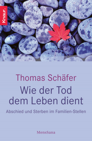 Thomas Schäfer: Wie der Tod dem Leben dient