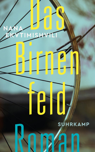 Nana Ekvtimishvili: Das Birnenfeld