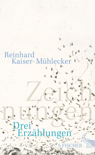 Reinhard Kaiser-Mühlecker: Zeichnungen