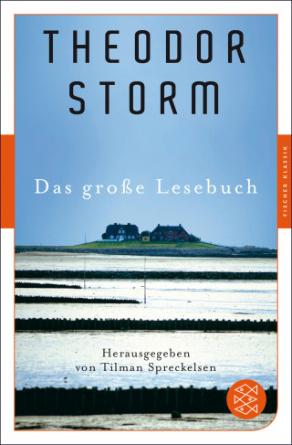 Theodor Storm: Das große Lesebuch