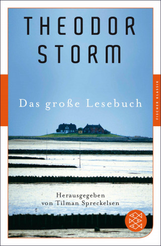 Theodor Storm: Das große Lesebuch