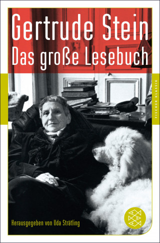Gertrude Stein: Das große Lesebuch