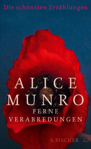 Alice Munro: Ferne Verabredungen