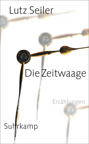 Lutz Seiler: Die Zeitwaage