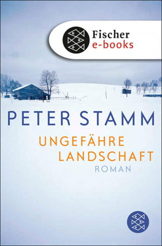 Peter Stamm: Ungefähre Landschaft