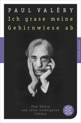 Paul Valéry: Ich grase meine Gehirnwiese ab