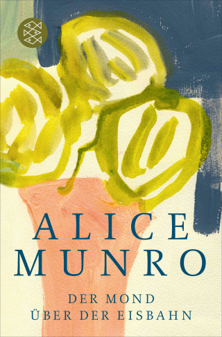 Alice Munro: Der Mond über der Eisbahn