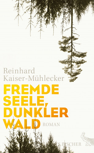 Reinhard Kaiser-Mühlecker: Fremde Seele, dunkler Wald