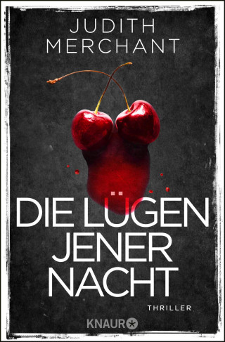 Judith Merchant: Die Lügen jener Nacht