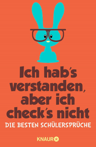 Ich hab's verstanden, aber ich check's nicht
