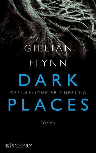 Gillian Flynn: Dark Places - Gefährliche Erinnerung