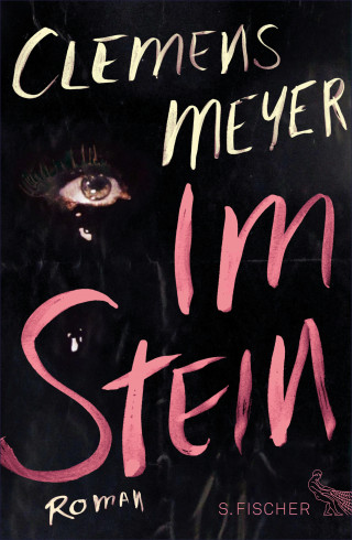 Clemens Meyer: Im Stein