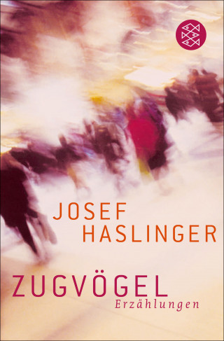 Josef Haslinger: Zugvögel