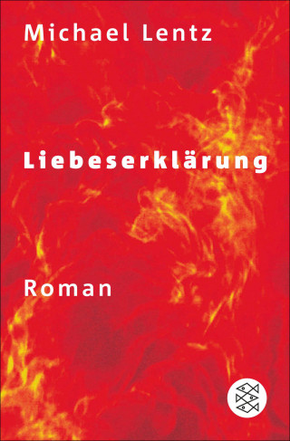 Michael Lentz: Liebeserklärung