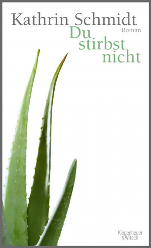 Kathrin Schmidt: Du stirbst nicht