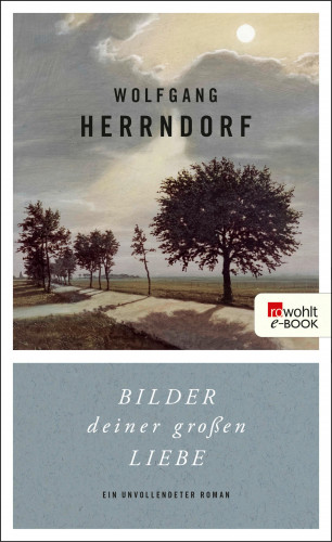Wolfgang Herrndorf: Bilder deiner großen Liebe