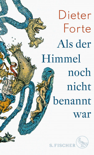 Dieter Forte: Als der Himmel noch nicht benannt war