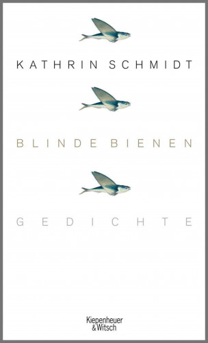 Kathrin Schmidt: Blinde Bienen
