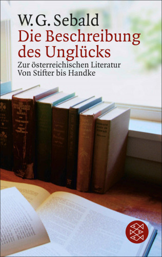 W.G. Sebald: Die Beschreibung des Unglücks