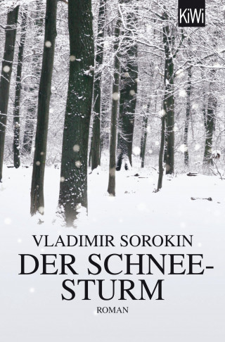 Vladimir Sorokin: Der Schneesturm