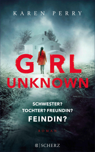 Karen Perry: Girl Unknown - Schwester? Tochter? Freundin? Feindin?