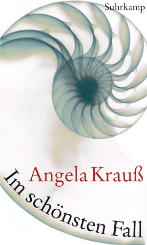 Angela Krauß: Im schönsten Fall