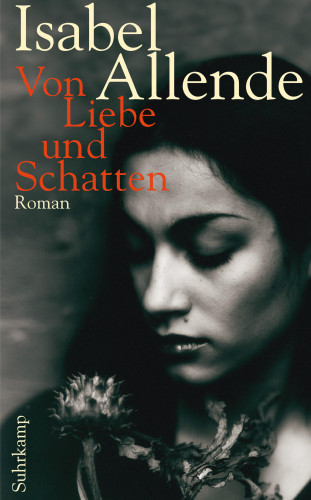 Isabel Allende: Von Liebe und Schatten