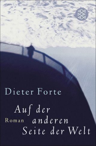 Dieter Forte: Auf der anderen Seite der Welt