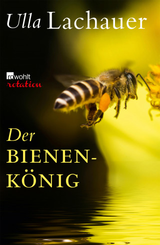 Ulla Lachauer: Der Bienenkönig